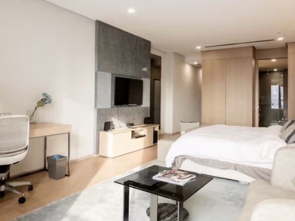 Fully furnished studio apartment for rent